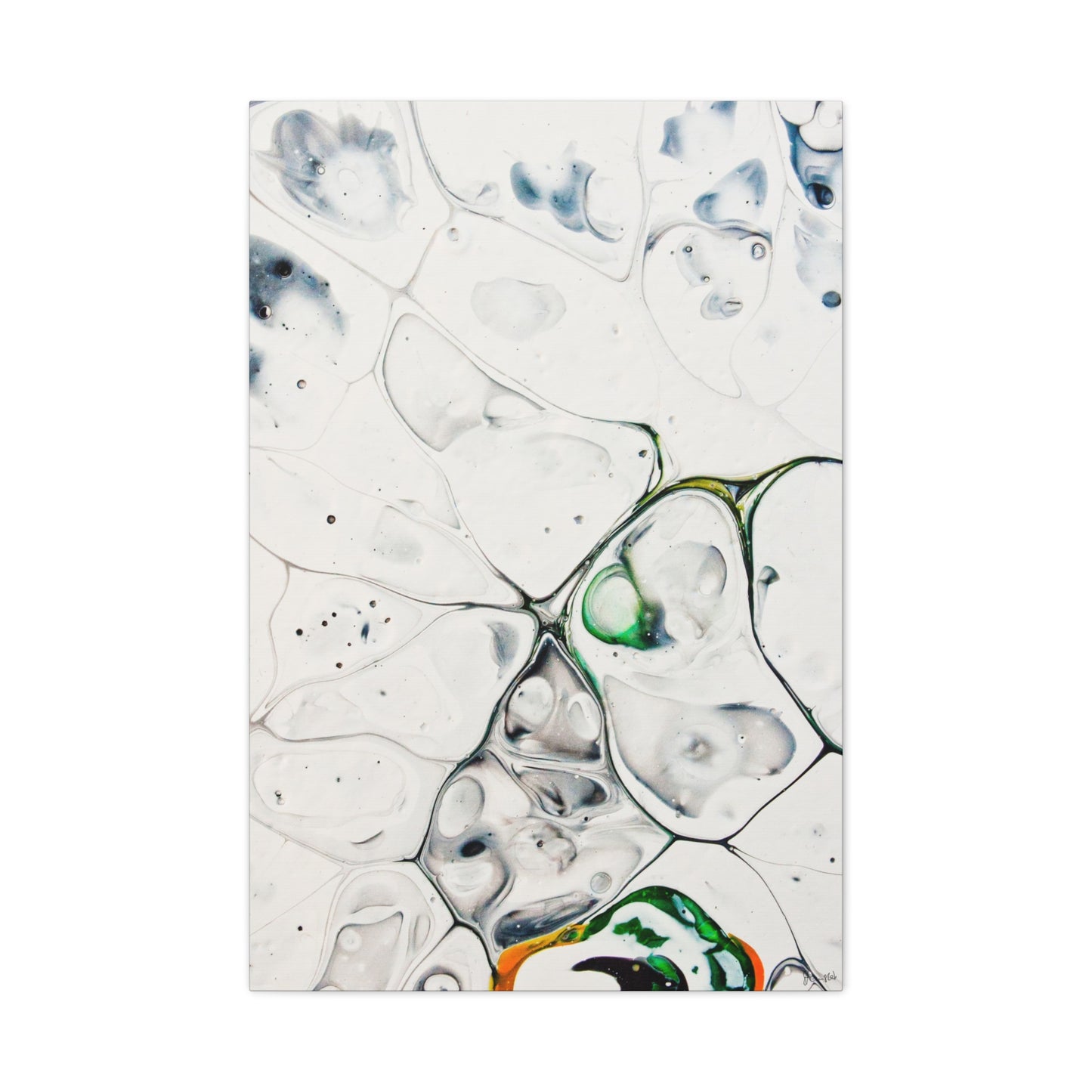 Genus Antarcticus DSC0013 Liquid Prints Matte Canvas, Stretched, 1.25"