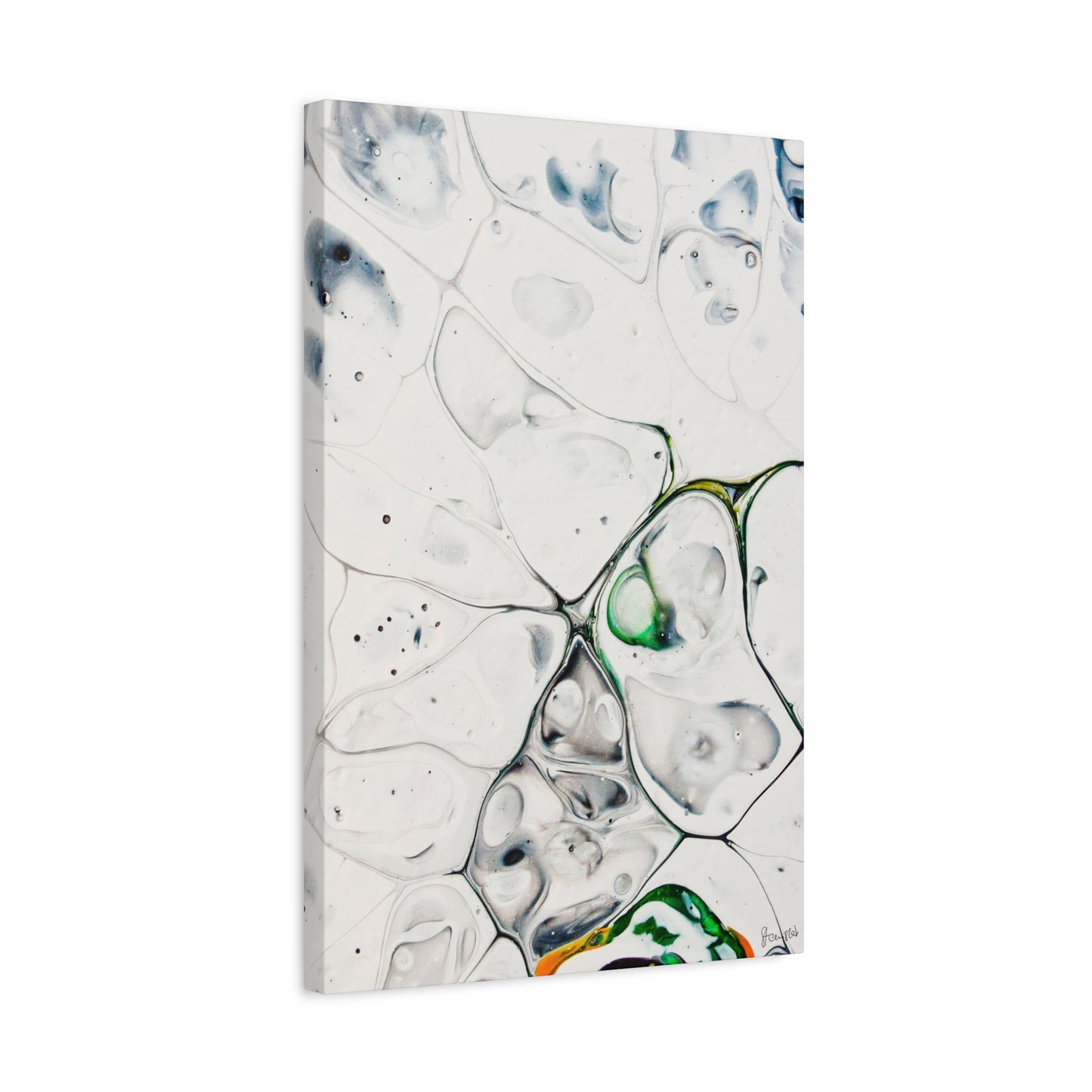 Genus Antarcticus DSC0013 Liquid Prints Matte Canvas, Stretched, 1.25"