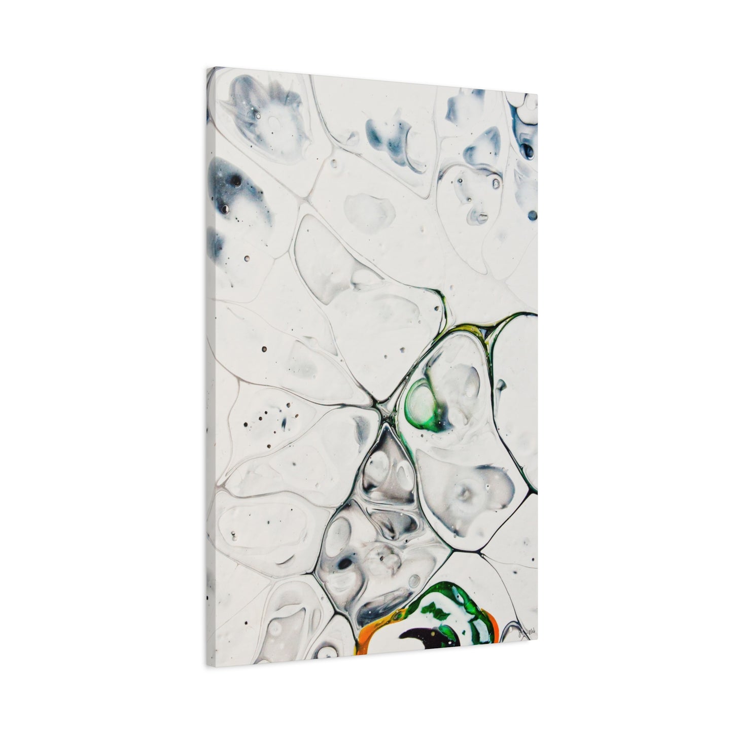 Genus Antarcticus DSC0013 Liquid Prints Matte Canvas, Stretched, 1.25"