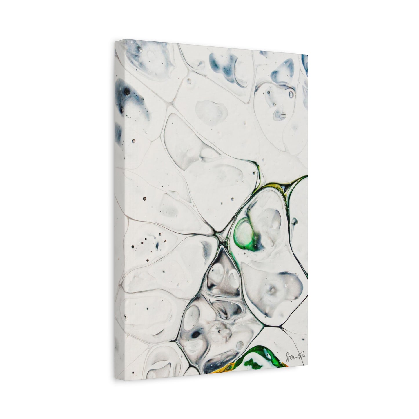 Genus Antarcticus DSC0013 Liquid Prints Matte Canvas, Stretched, 1.25"