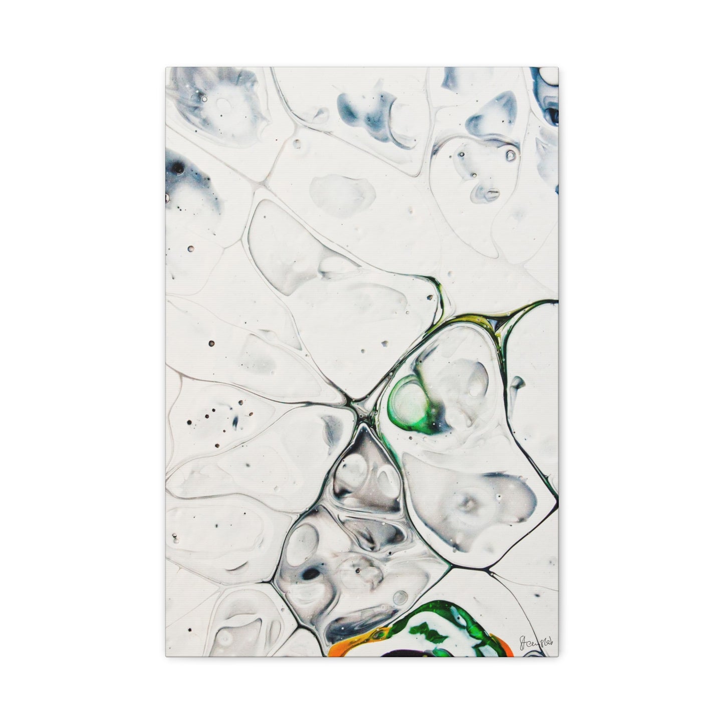 Genus Antarcticus DSC0013 Liquid Prints Matte Canvas, Stretched, 1.25"
