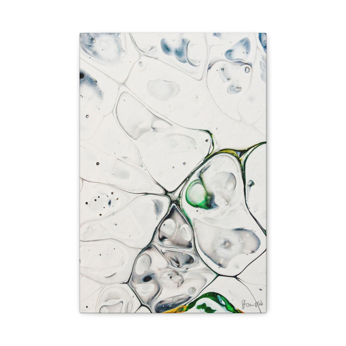 Genus Antarcticus DSC0013 Liquid Prints Matte Canvas, Stretched, 1.25"