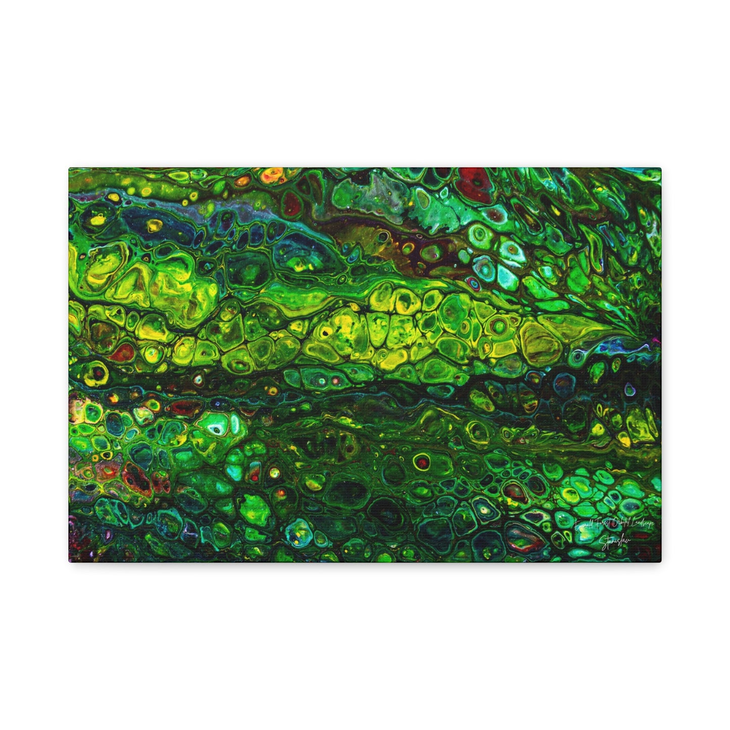 Emerald Forest Orbital Landscape Matte Canvas, Stretched, 1.25"